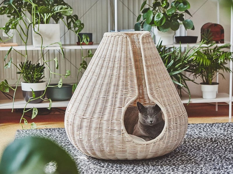 Ispirazione: Animali domestici