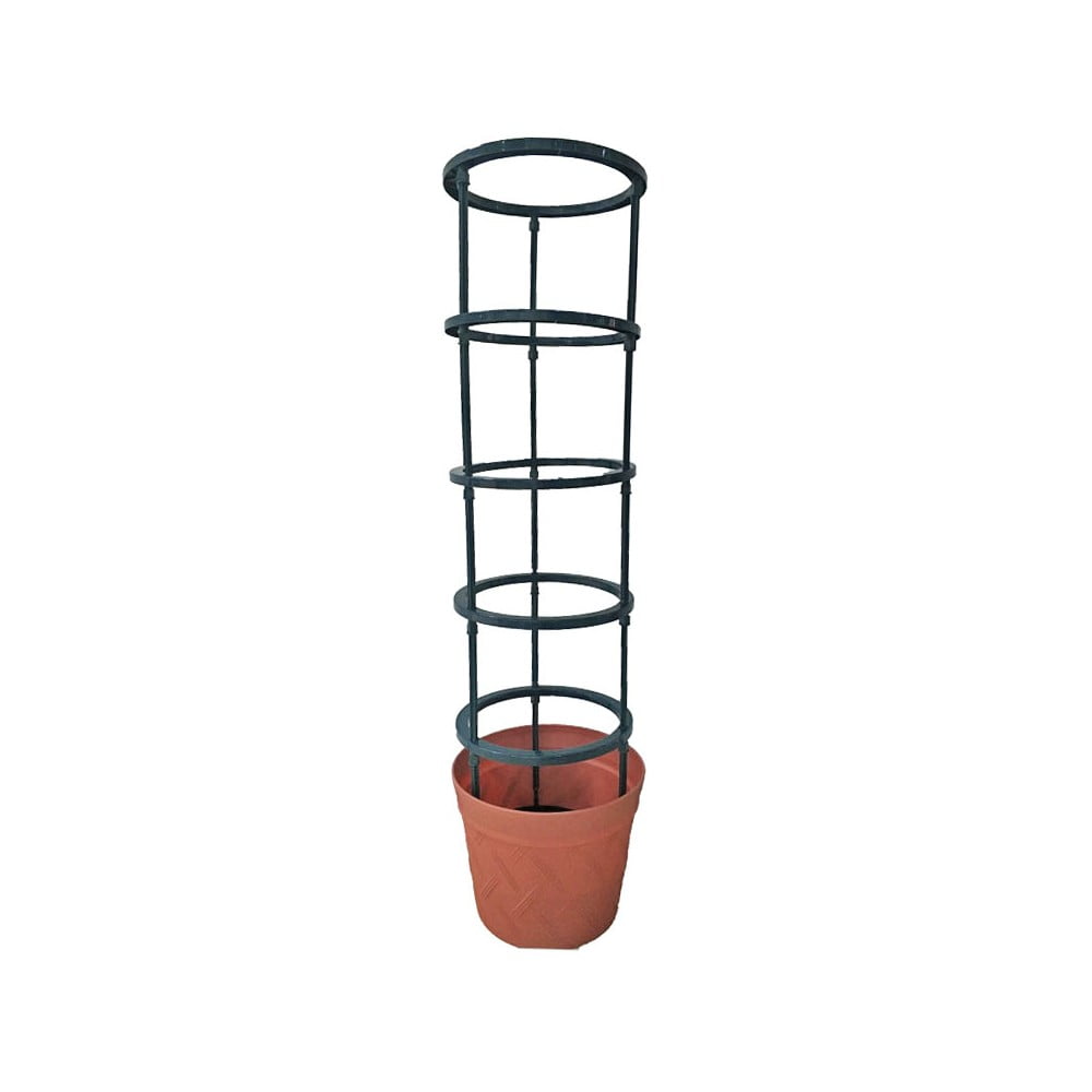 Supporto rampicante per piante da esterno - Garden Pleasure | Attrezzi da giardino