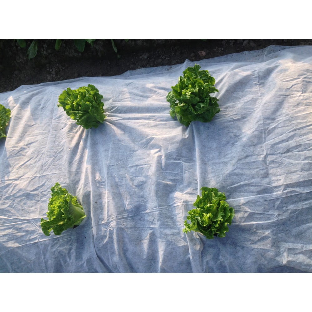 Telo per pacciamatura - Garden Pleasure | Attrezzi da giardino