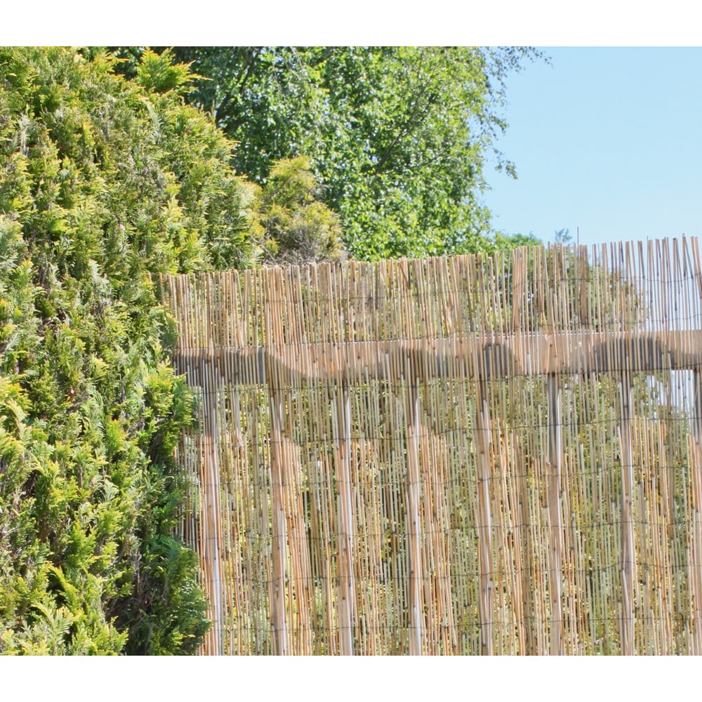 Tappetino frangivista in salice colore naturale 300x200 cm - Garden Pleasure | Paraventi per balcone