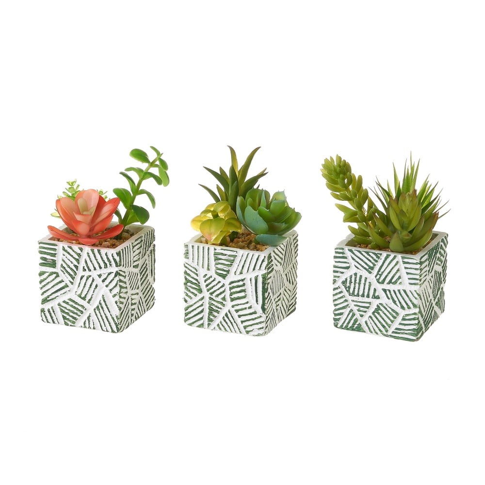 Piante artificiali in set da 3 (altezza 12 cm) Cactus - Casa Selección | Fiori artificiali