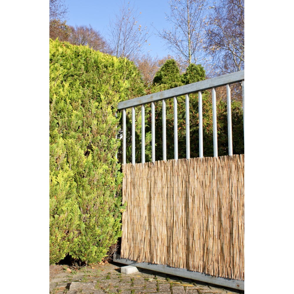 Tappetino frangivista in salice colore naturale 300x100 cm - Garden Pleasure | Paraventi per balcone