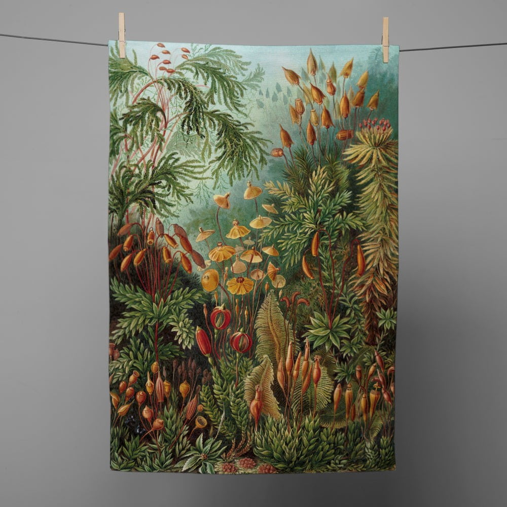 Strofinaccio 43x64 cm Deep Forest – Madre Selva | Asciugamani da cucina