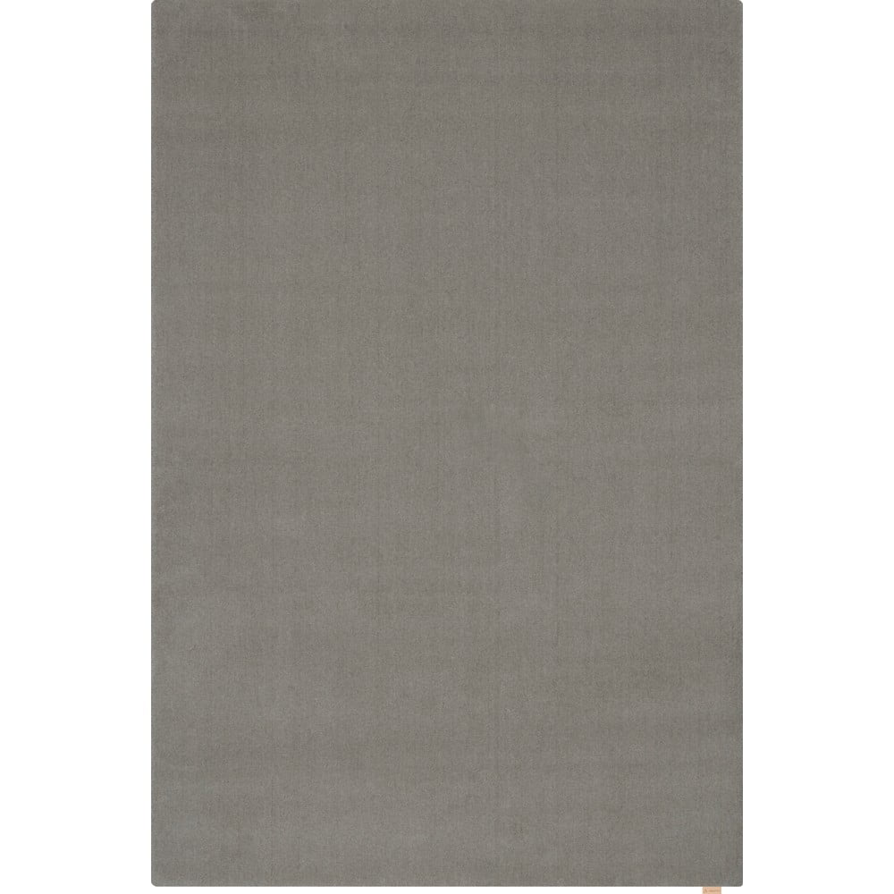 Tappeto in lana grigio 120x180 cm Calisia M Smooth - Agnella | Tappeti