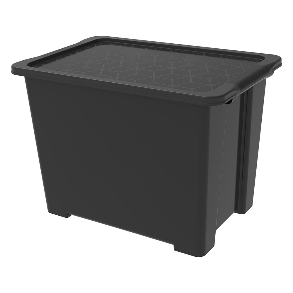 Scatola di plastica con coperchio Evo Easy - Rotho | Scatole
