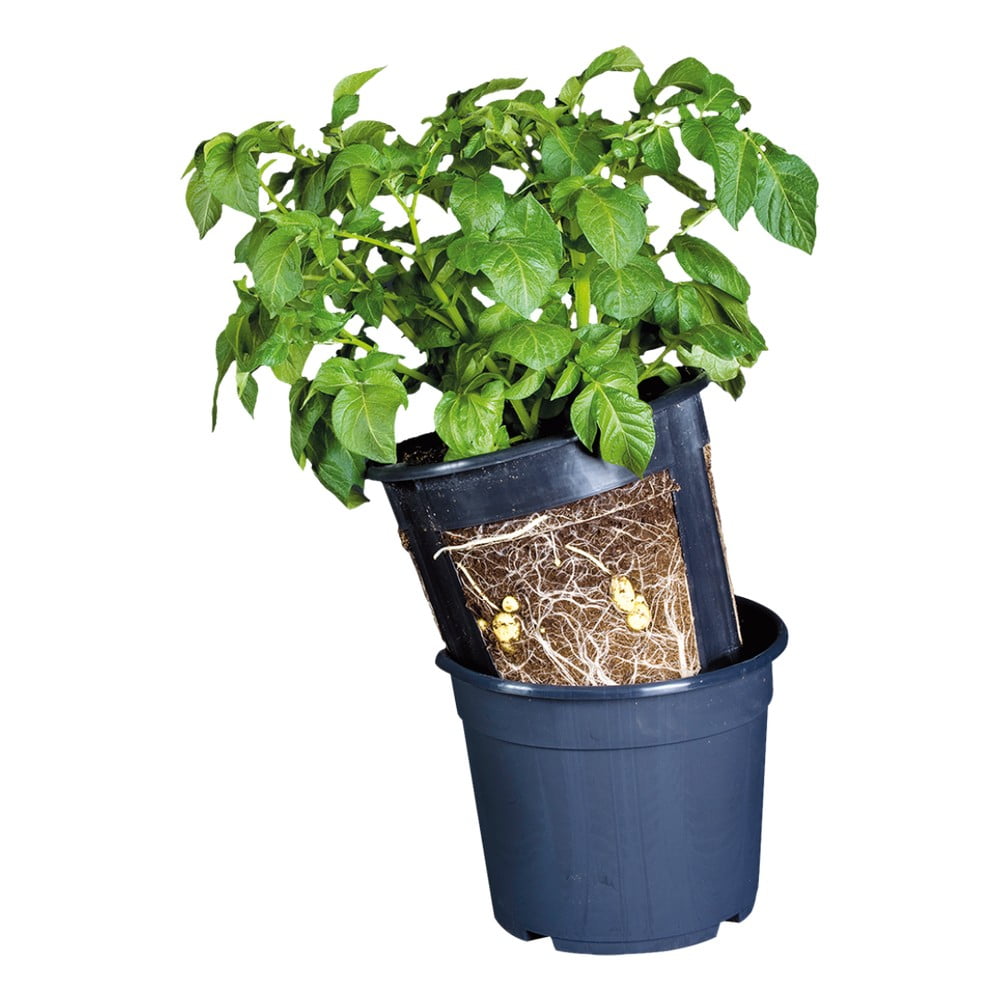 Vaso in plastica ø 30 cm - Esschert Design | Vasi per fiori
